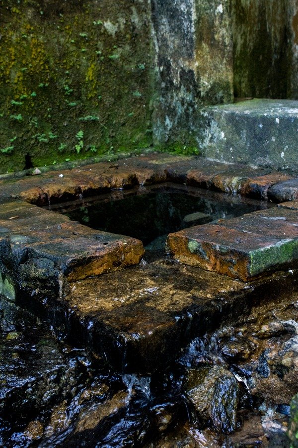 APA da Água Escondida — área natural de Niterói