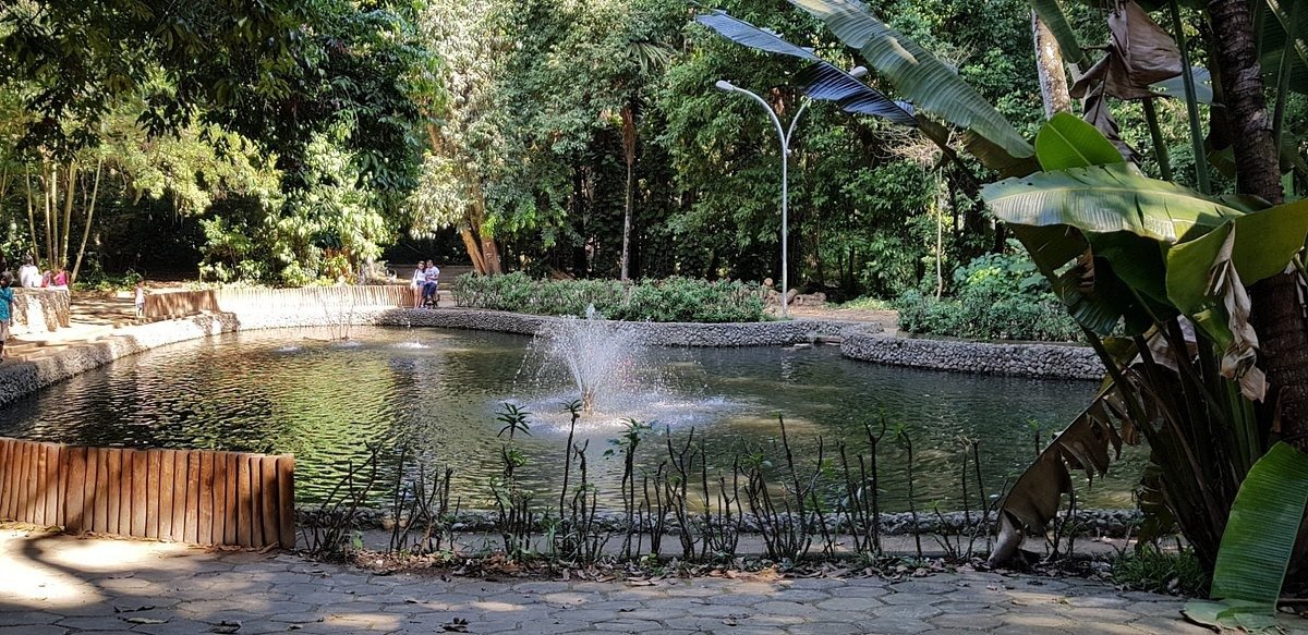 Horto Botânico de Niterói (Horto do Fonseca) — área natural de Niterói